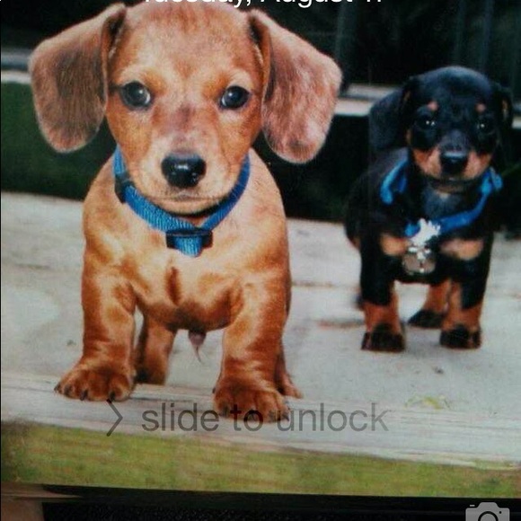 Meet your Posher, Lynne - Picture 2 of 3